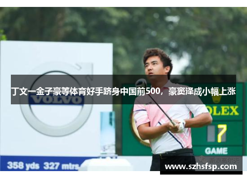 丁文一金子豪等体育好手跻身中国前500，豪窦泽成小幅上涨